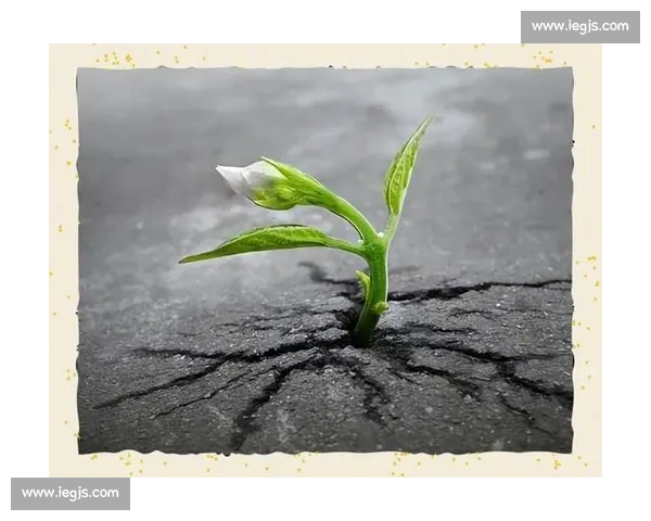 破茧成蝶:在磕碰中淬炼生命的韧性 破茧成蝶:在磕碰中淬炼生命的韧性